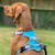 Henry Wag Dog Travel Car Harness