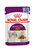 Royal Canin Sensory Smell Wet Cat Food in Jelly