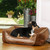 Hound Premium Dog Quilted Sofa Bed with Faux Leather Panel