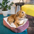 Dream Paws Coral Pink Geometric Shape Dog Sofa Bed