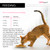Purina Pro Plan Adult Cat Optidigest - Turkey & Rice