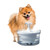 Zeus Fresh and Clear Waterfall Spout Dog Drinking 360 Fountain
