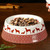 Festive Collection Ceramic Dog Feeding Bowl