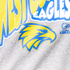 West Coast Eagles Youth Footy Colours Hoody (W23)