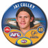 West Coast Eagles 2024 AFL Player Badge