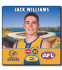 West Coast Eagles 2024 AFL Player Coasters