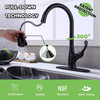 APPASO Pull Down Kitchen Faucet with Sprayer Stainless Steel, Commercial High Arc Pull Out Spray Head with Deck Plate, Matte Black Faucet, 123MB