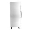 Heavy Duty Commercial 23 cu ft Stainless Steel Glass Door Reach-In Freezer (1 Door)