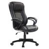 Eurotech by Raynor Pembroke Black Leather Executive Chair - LE521