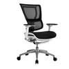 Eurotech by Raynor iOO All Mesh and Fabric/Mesh Combo Chair White Frame - IOO-WHT