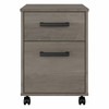 Kathy Ireland Home by Bush Furniture City Park 2 Drawer Mobile File Cabinet - CPF116DG-03