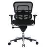 Eurotech by Raynor Ergohuman Mesh Back Fabric Seat Low - FME33ERGLO