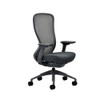 Eurotech by Raynor Exchange Chair - EX2-CHR-MBJET-FSBLK