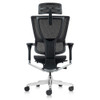 Raynor Ergohuman Mesh Chair with Headrest - ME2ERG-XTRM