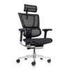 Raynor Ergohuman Mesh Chair with Headrest - ME2ERG-XTRM