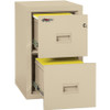 FireKing Insulated Turtle File Cabinet - 2-Drawer Vertical Files - 2R1822CPA