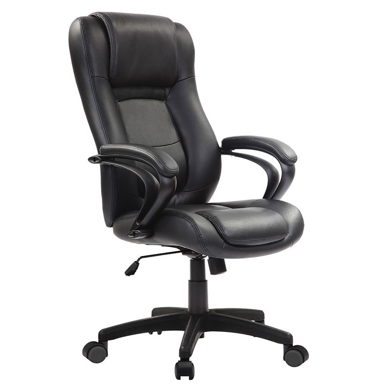 rerere　黒 Eurotech by Raynor Pembroke Black Leather Executive Chair LE521