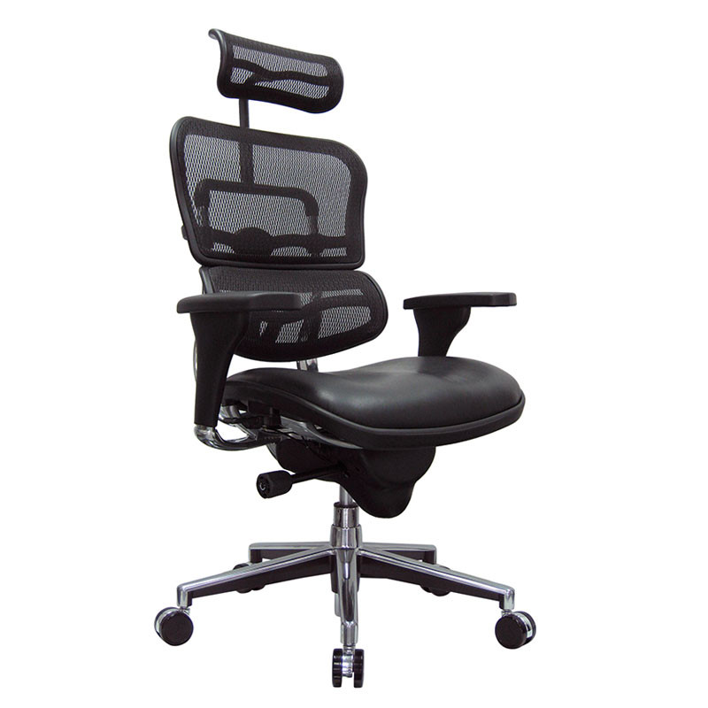 Eurotech by Raynor Ergohuman Mesh High-Back Chair with Leather