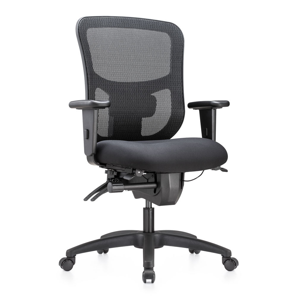 Raynor Big and Tall Chair - BT400 Free Shipping!