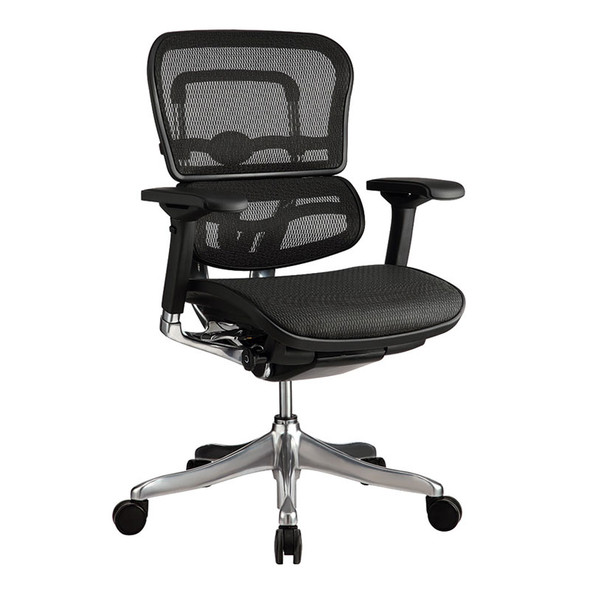 Eurotech by Raynor Ergo Elite Mesh Mid-Back Chair - ME5ERGLTLOW-N15