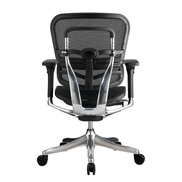 Eurotech by Raynor Ergo Elite Mesh Mid-Back Chair - ME5ERGLTLOW-N15