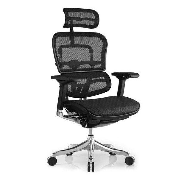 Eurotech by Raynor Ergo Elite High Back Chair - ME22ERGLT