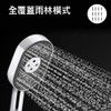 Statement 多功能手持花灑 - 橢圓 (摩登金)