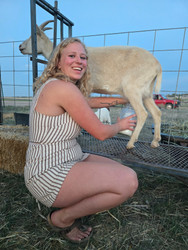 From Our Saanen Goats to Your Skin: Our Goat Milk Soap Is Here!