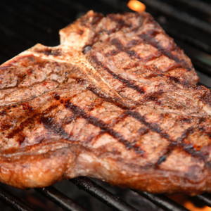 bison t-bone