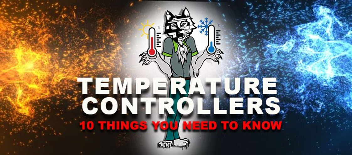 10 Factors to Consider When Buying a Temperature Controller