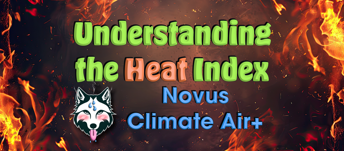 Get Real-Time Heat Index Monitoring With Novus Climate Air+