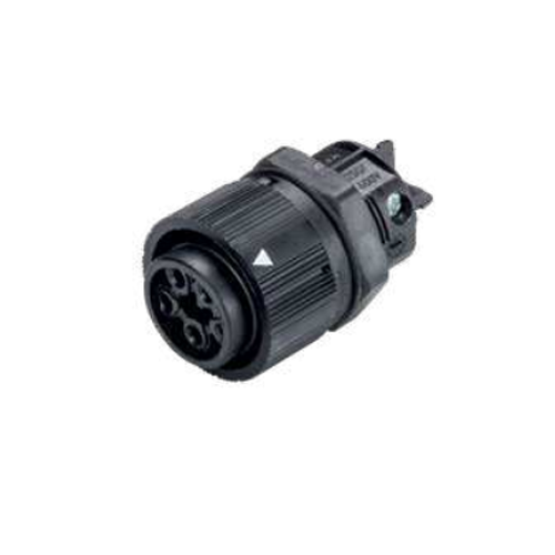 wieland_46.051.5053.1_primary.png