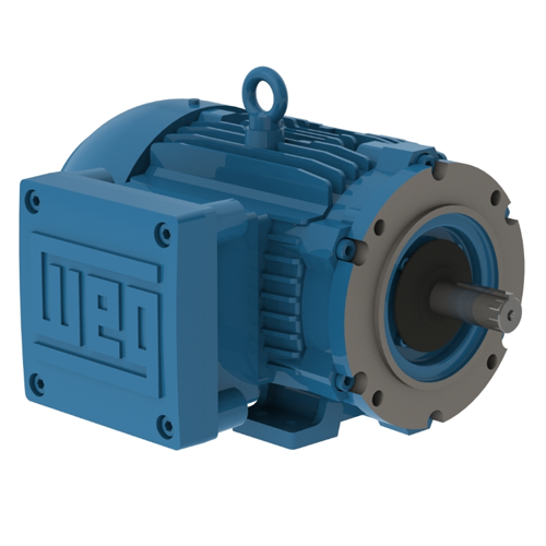 WEG_W21_143_5-TC_TEFC_Footed_Primary.png