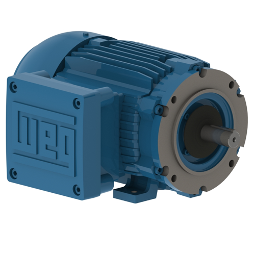 WEG_W21_143_5_TC_TEFC_Foot_Mounted_Primary.png