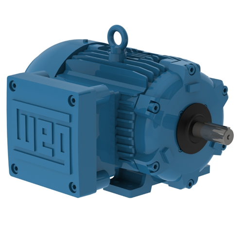 WEG_W21_143_5T_Foot_Mounted_Primary.png