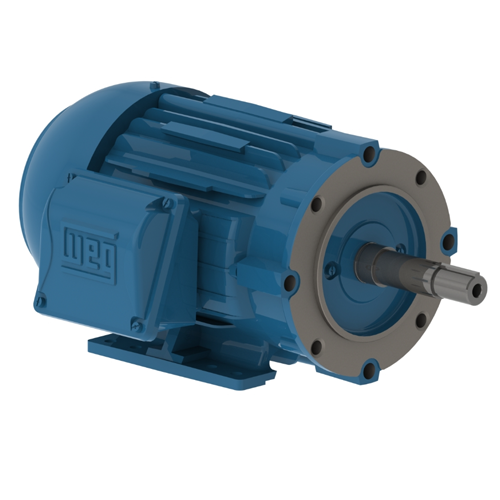 WEG_W22_143_5_JM_TEFC_FootMounted1_Primary.png