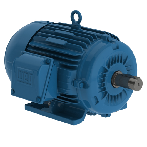 WEG_W22_213_5T_TEFC_FootMounted1_Primary.png