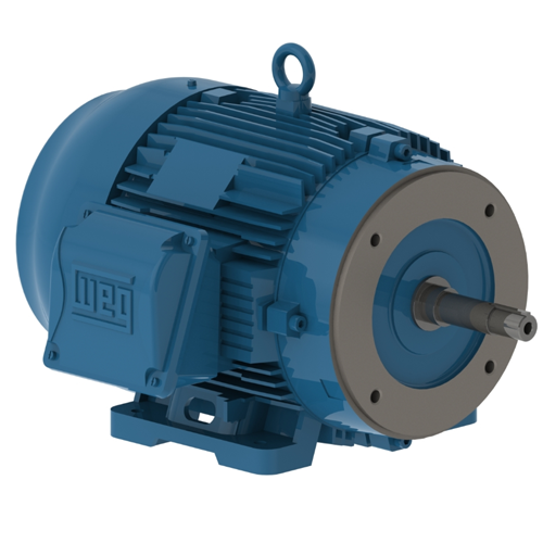 WEG_W22_213_5-TC_TEFC_FootMounted_Primary.png