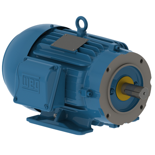 WEG_W22_IEEE841_Primary.png