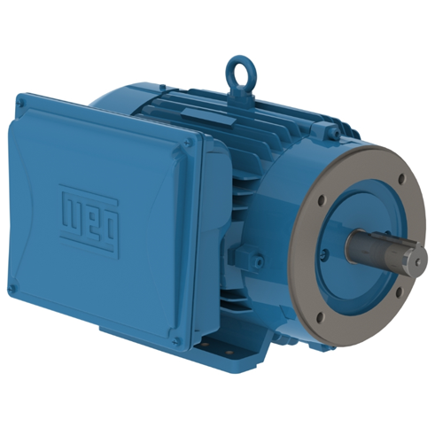 WEG_W22_213_5TC_TEFC_FootMounted_Primary.png