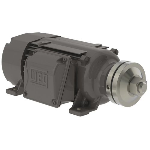 WEG_Saw_Arbor_90L_MS_TEFC_Primary.png