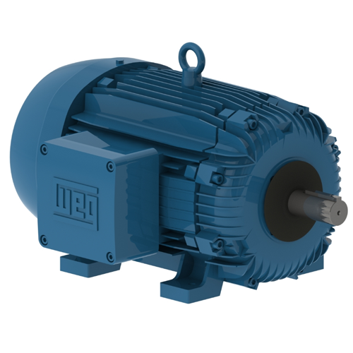 WEG_W21_286T_TEFC_FootMounted_Primary.png