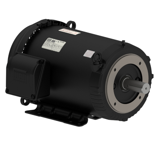 WEG_W01_213-5TC_TEFC_FootMounted_Primary.png