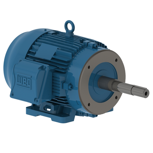 WEG_W22_Closed_Couple_Pump_TEFC_Foot_Mounted_Primary.png