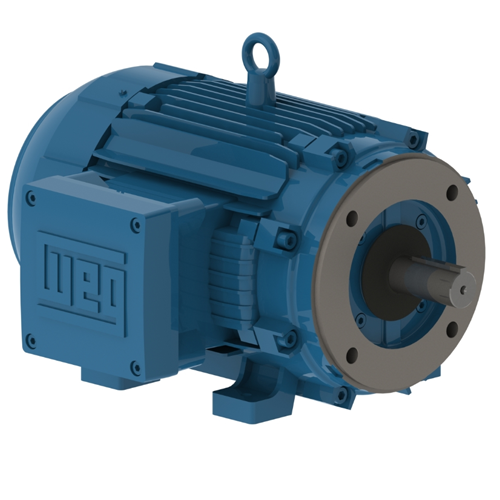 WEG_W21_L215TC_TEFC_Foot_Mounted_Primary.png