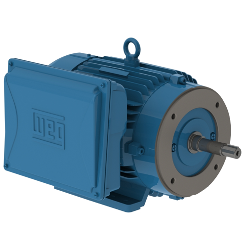 WEG_W22_JM_TEFC_Foot_Mounted_Primary.png
