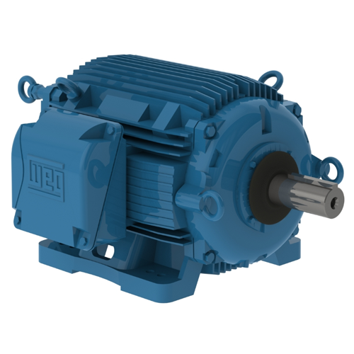 WEG_W22_254T_TEAO_FootMounted_Primary.png