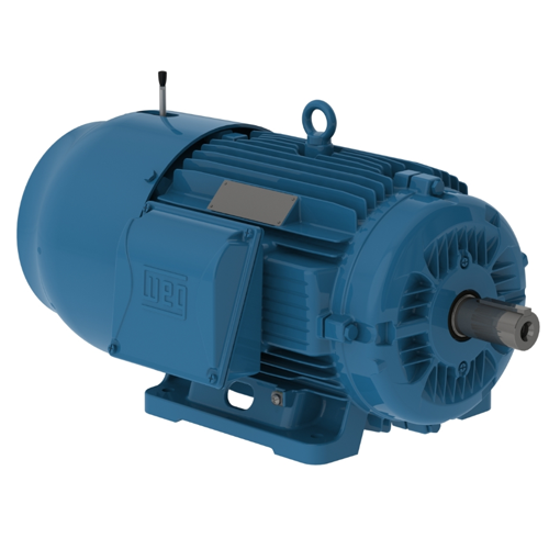 WEG_W22_Brake_Motor_Primary.png