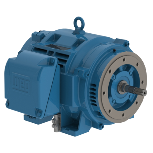 WEG_W40_JM_IC01_ODP_Foot_Mounted_Primary.png