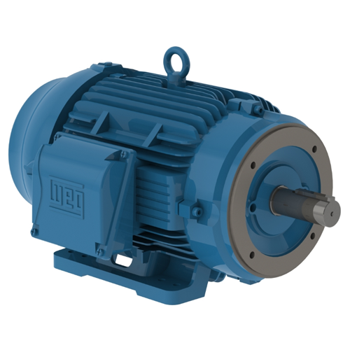 WEG_W22_324-6TSC_IC411_TEFC_Footed_Primary.png